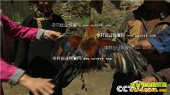 [�¸���]��ԭ�ɼ��������̻�:���������������ؼ��¸�