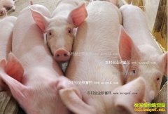 2016��10���Ĵ������۸����飺�������� ���۸��µ�