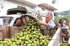 �Ĵ�������Ϫ���۽۷����г���