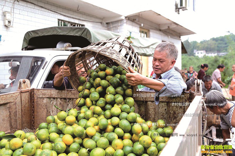 �Ĵ�������Ϫ���۽۷����г���