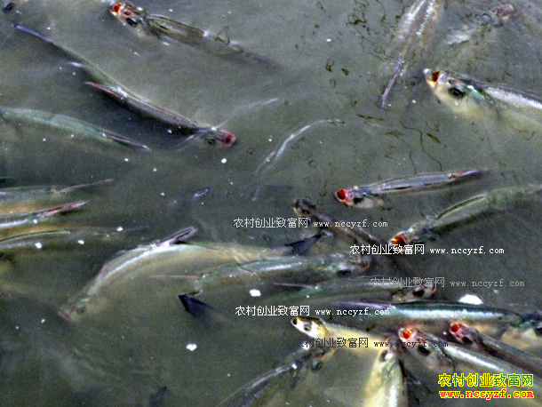 [ũ�����]���������ֳ20161018