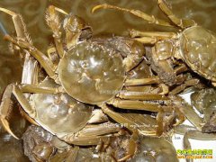 [ÿ��ũ��]Ѱ����Щ��һ���Ĵ�բз ����з�г��ܻ�ӭ