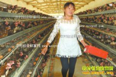 ���Ϲ�ɽ�����ϼ��������ũ��ƶ�¸�