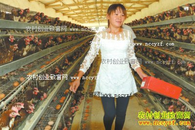 ���Ϲ�ɽ�����ϼ��������ũ��ƶ�¸�