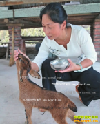 ������������Ů�޽�Ӣ������΢�Ŷ���������ʮ����