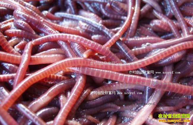 ��򵥵������ֳ�취