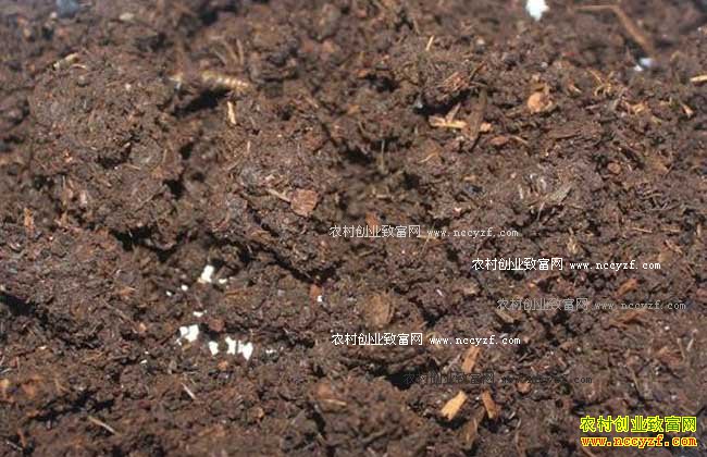 ��򵥵������ֳ�취