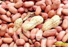 2016��10��24�պӱ������۸�����