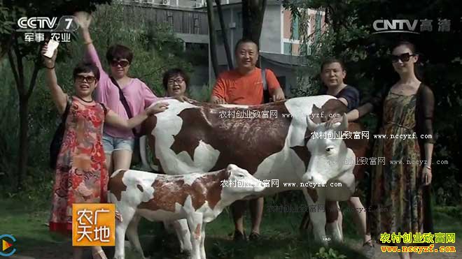 [ũ�����]ũ�������������ţΪɶţ 20161019