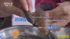 [ũ�����]�����ӹ��̲� �̲μӹ�������Ƶ