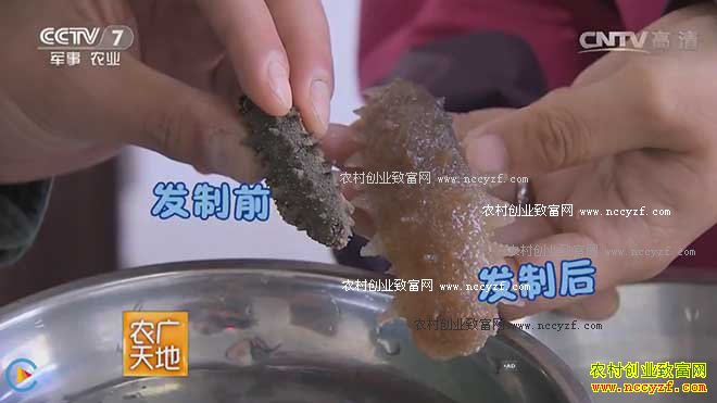 [ũ�����]�̲μӹ����� 20161020