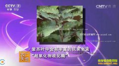 [ũ�����]���ս�������������Ƶ