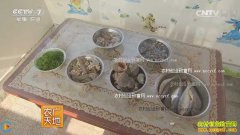 [ũ�����]������ֳ������Ƶ