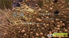 [�¸���]�㽭���ݱ����������ӹ������ʹ����ĲƸ�