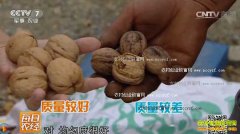 [ÿ��ũ��]ɽ�����صĺ����ܳ�����