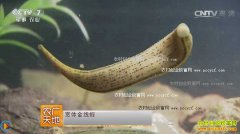 [ũ�����]��ΰ����������ˮ�������