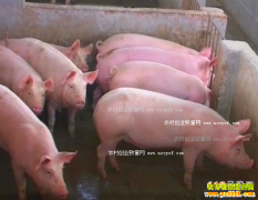 2017�������۸�����Ԥ�⣺�������۸������ָ���λ