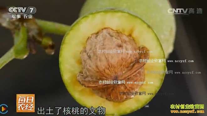 [ÿ��ũ��]�Ĵ����Գ����������������