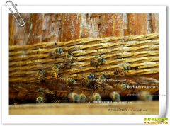 ������Ȫ��ѧ������������������������Ԫ