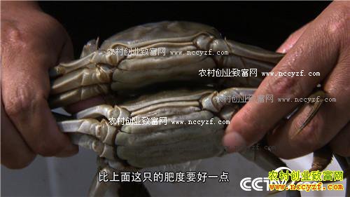 �������ĵ� �񳯼���ǧ���