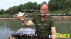 [�¸���]ɽ��΢ɽ�Ƴ�����ֳ��բз׬ǧ��Ƹ�