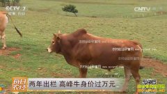 [ÿ��ũ��]������� ���Ϲ��ϸ߷�ţ���۹���Ԫ