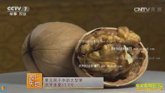 [ũ�����]�ӱ�Ԫ��������״���ֲ���Һ��¸�