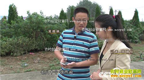 [�¸���]��з��ɶз ����̩����������зӭ������Ӯ����