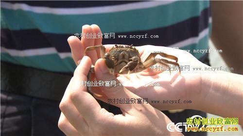 [�¸���]��з��ɶз ����̩����������зӭ������Ӯ����