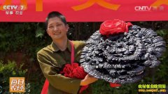 [ÿ��ũ��]��ֲ��֥��Ȼ����׬Ǯ