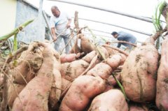 ɽ�����ȣ�����9�ŵع�Ķ����8000Ԫ���¸�����Ŀ