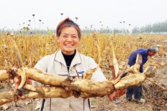 ɽ�����ϣ��������źĶ��5000�� ��ź��ũ���¸�����Ŀ