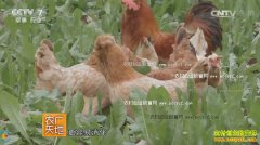 [ũ�����]����˳��³������伦������ĲƸ�����