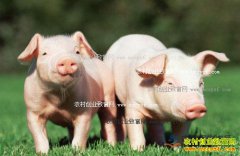 2016��10�����۸����飺���۳����µ��������з�������