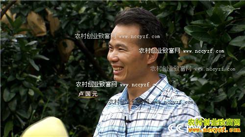 �¸�����Ѫɫ�ֻ�����ĲƸ� 10��31��