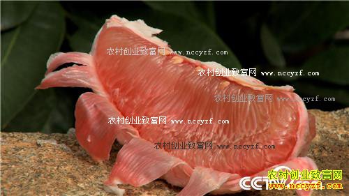 �¸�����Ѫɫ�ֻ�����ĲƸ� 10��31��