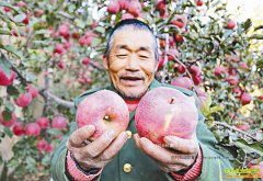 �ӱ������Ծ����ɽ�ֹ������ˮ��5�򹫽�