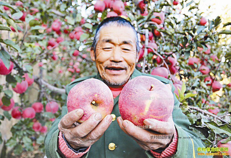 �ӱ������Ծ����ɽ�ֹ������ˮ��5�򹫽�