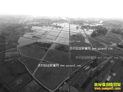 �������Ͻ���壺��ֲˮ��ֲ���ũ���¸�����Ŀ