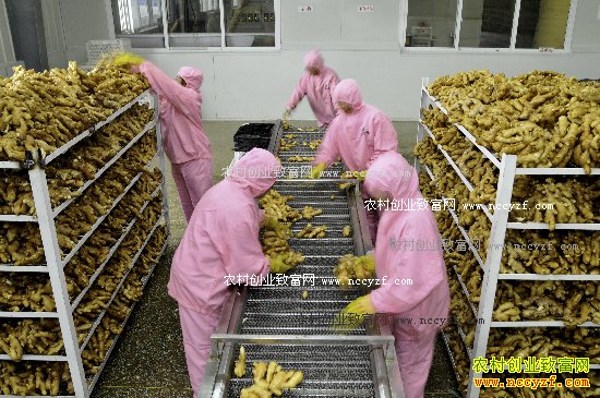 ɽ������Ů��ѧ����ӹ�������Ʒ����Ч���