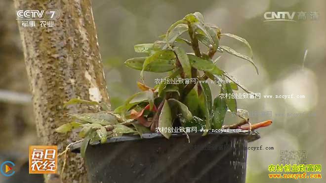 [ÿ��ũ��]ʯ������������׬Ǯ 20161031