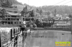 �����뽭ë������̬�����������5��Ԫ