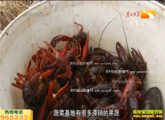 �¸��ð��������������������ֳС��ϺһĶ��׬����ǧ