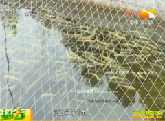 �¸��ð�������ɽ�к�ˮ�����ϳ˺�����