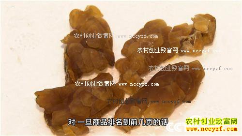 Ϊ������ ��ɽѰ��