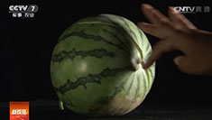 [�Ƽ�Է]ɽ����������һ������