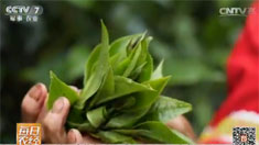 [ÿ��ũ��]���Ϸ���Ų���Ҷ�Ƹ�