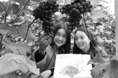 ɽ����ˮ���л����Ѽ۸�� ÿ����80Ԫ