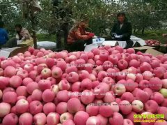 2016��ƻ���۸����飺�츻ʿƻ���۸񴴽����µ�