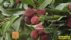 [ũ�����]��÷���ʼ�����Ƶ